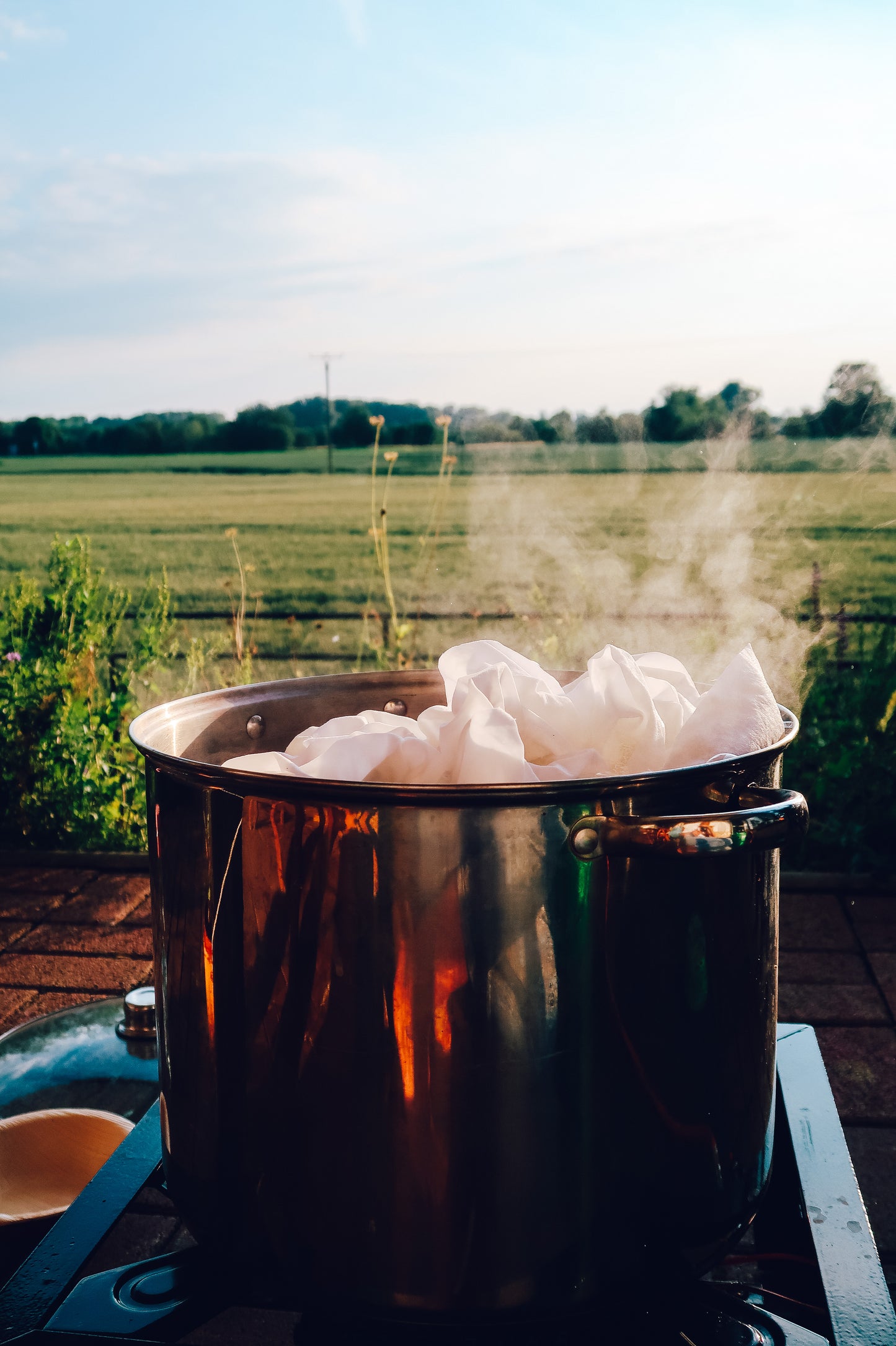 The Complete Beginners Guide to Mordanting for Natural Dyeing - Natural Dye Tutorial