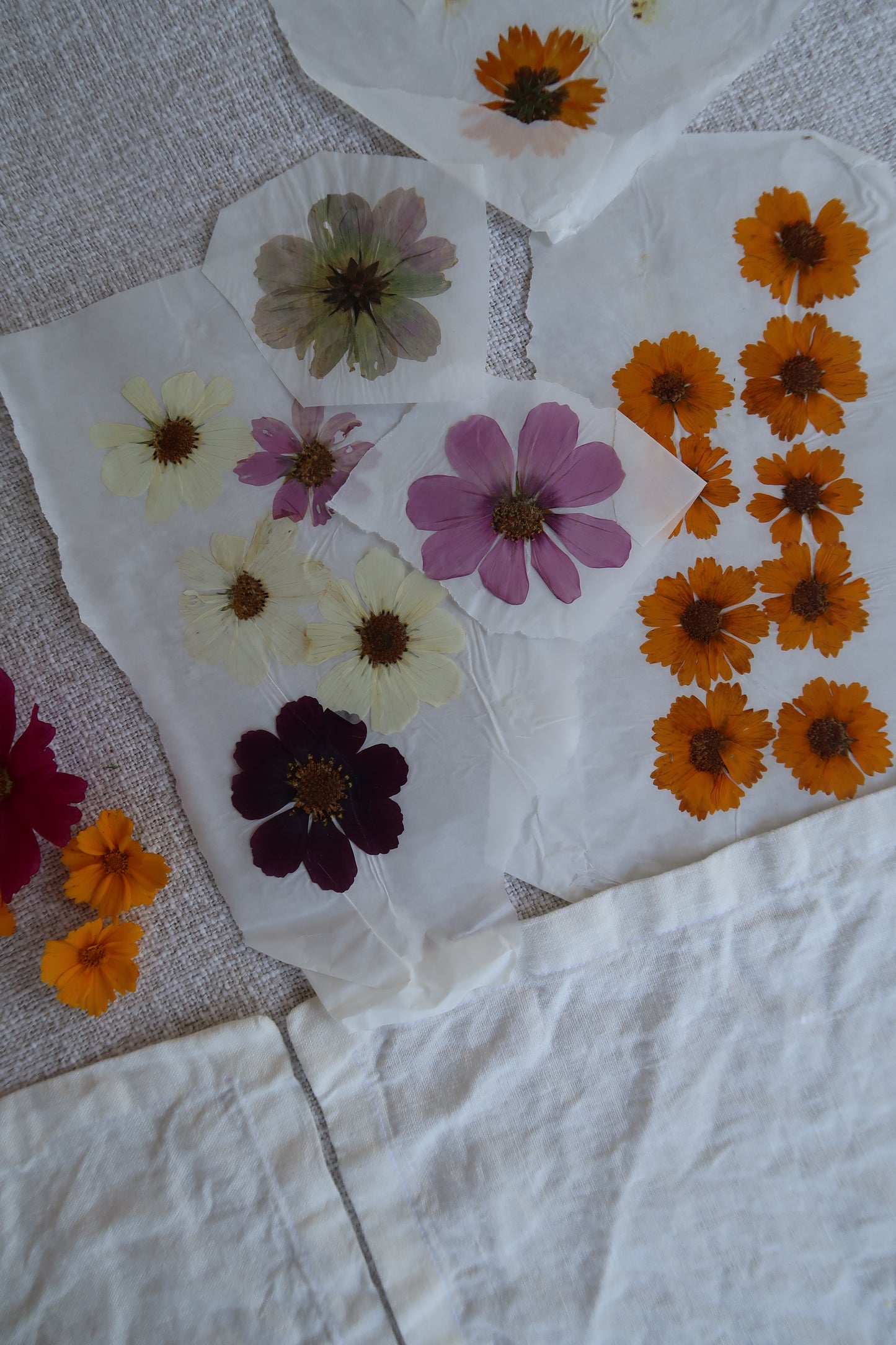 Eco printing with pressed & fresh flowers - Natural Dye Tutorial