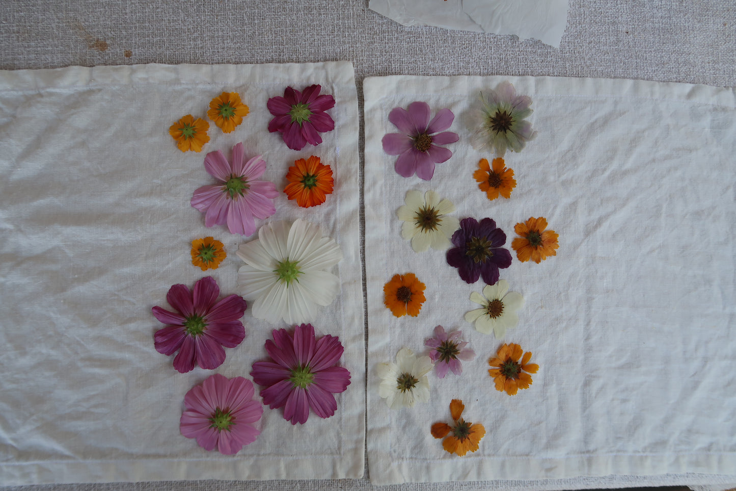Eco printing with pressed & fresh flowers - Natural Dye Tutorial