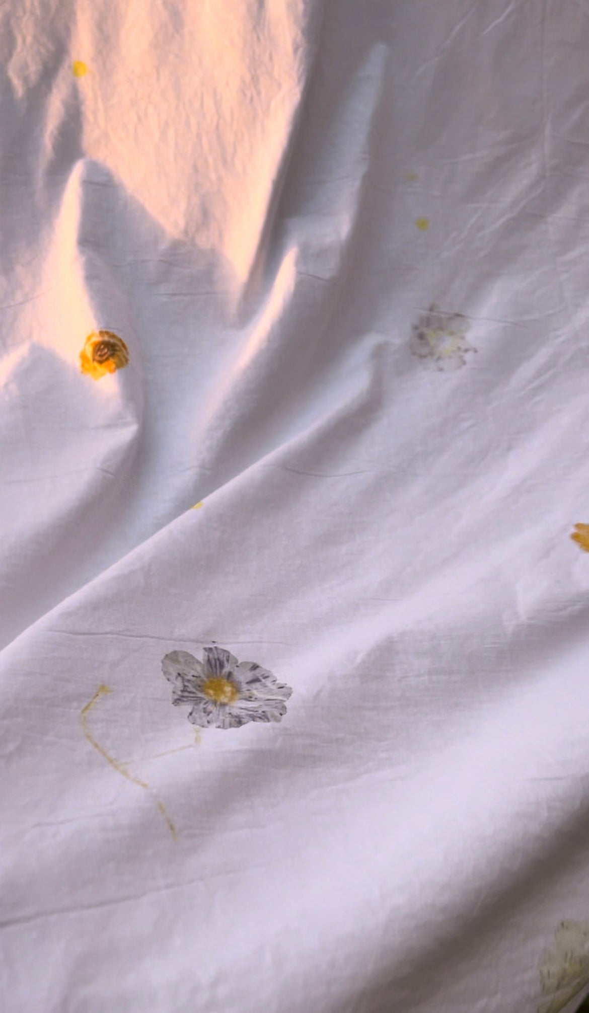 Eco printing with pressed & fresh flowers - Natural Dye Tutorial