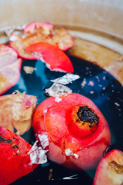 Natural Dyeing with Kitchen Waste - Natural Dye Tutorial